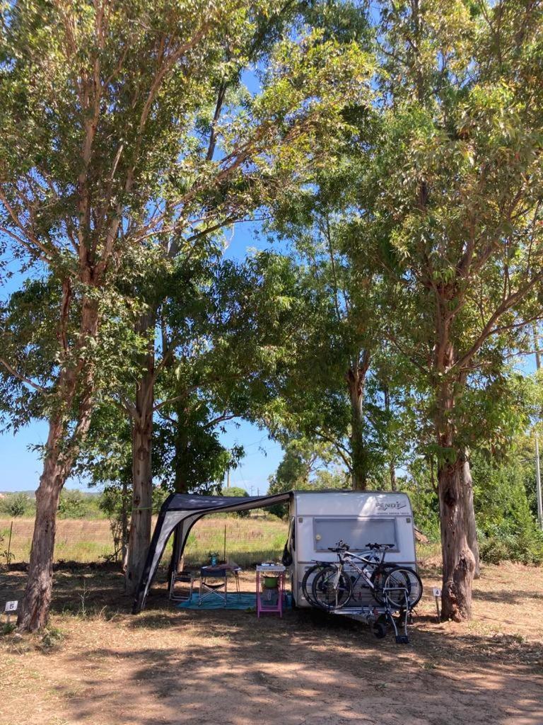 Villaggio Camping Golfo Di Arzachena Cannigione Kültér fotó